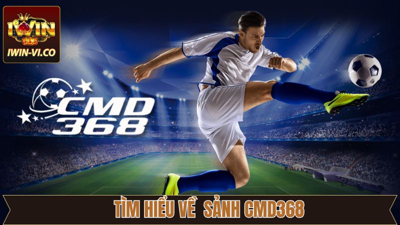 CMD368 - Đỉnh Cao Cá Cược Thể Thao Uy Tín Và Đa Dạng 2 Tìm hiểu thông tin chung về sảnh thể thao CMD368
