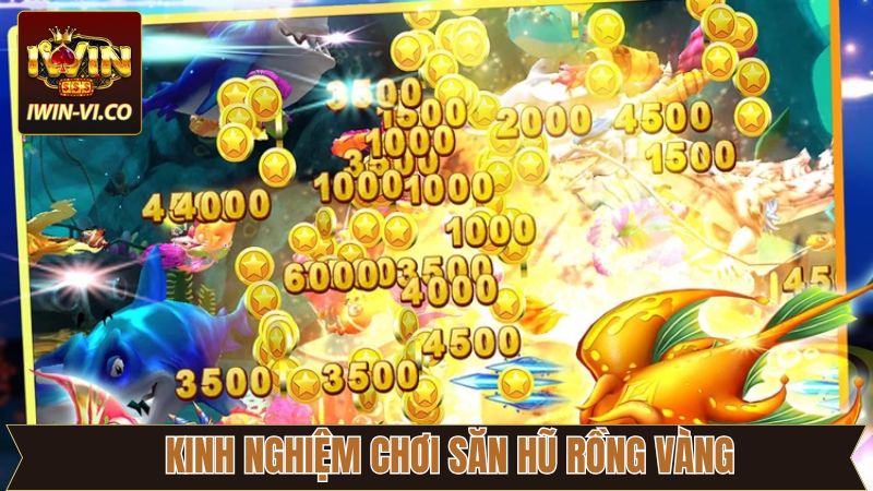 Kinh nghiệm khi tham gia quay hũ rồng vàng thắng lớn