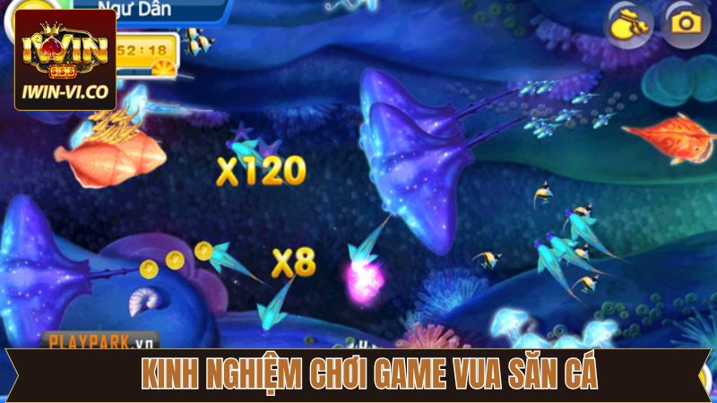 Vua Săn Cá - Chinh Phục Đại Dương Nhận Ngay Thưởng Khủng 4 Kinh nghiệm vàng để có kho báu từ đại dương