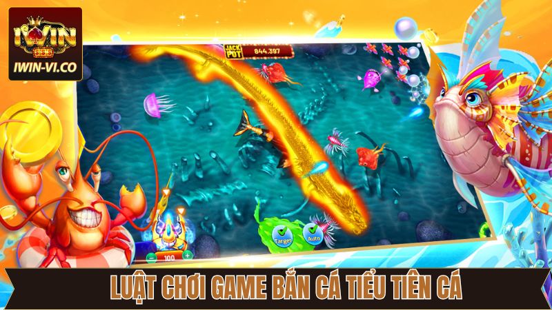 Kiến thức cơ bản của bắn cá tiểu tiên cá tại Iwin