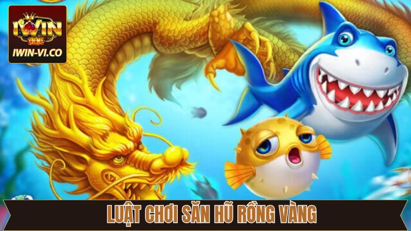 Nắm rõ về luật chơi trong game quay hũ rồng vàng tại Iwin