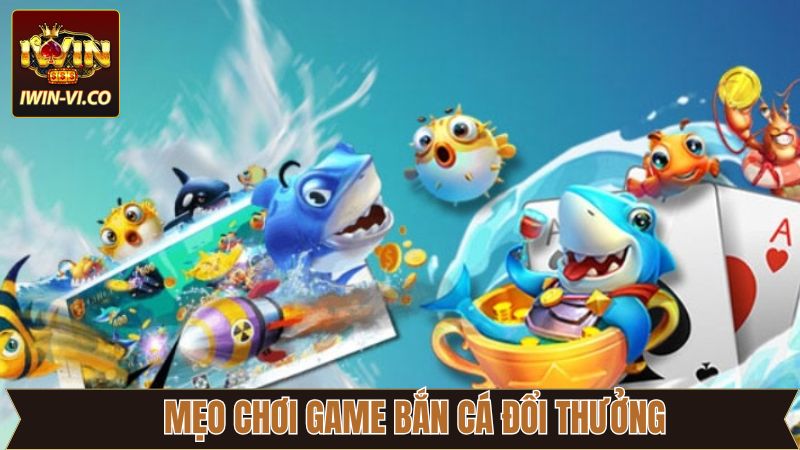 Bí kíp tiêu diệt cá xèng hiệu quả