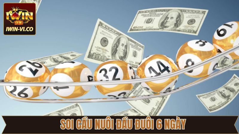 Chiến lược nuôi đầu đuôi khung 6 ngày chuẩn xác