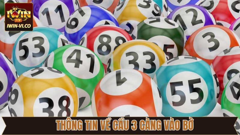 Giới thiệu tổng quan về cầu 3 càng vào bờ