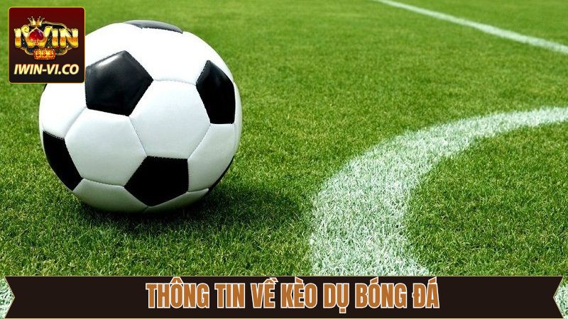 Thông tin tổng quan về một dạng cược bẫy