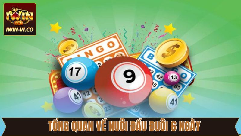 Sơ lược về phương pháp nuôi lô đầu đuôi 6 ngày