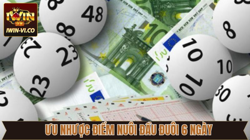 Lợi thế và hạn chế khi thực hiện nuôi đầu đuôi 6 ngày